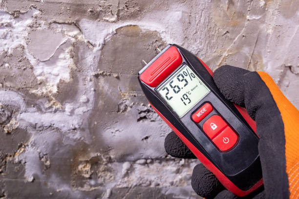 Best Residential Mold Removal  in Post, TX