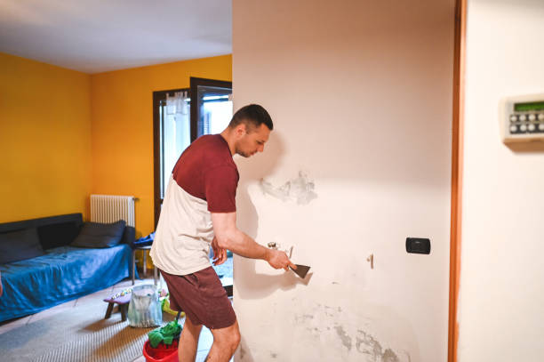 Best Fast Mold Removal  in Post, TX
