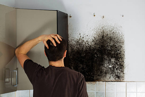  Post, TX Mold Removal Pros
