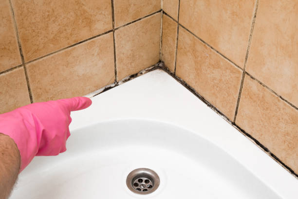 Best Mold Remediation  in Post, TX